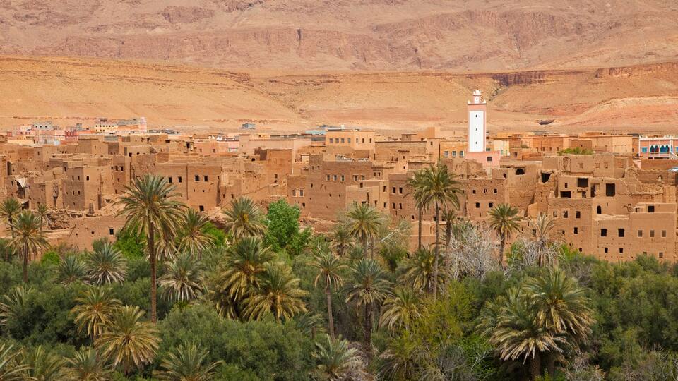A desert village with mud-brick buildings, palm trees, and a white minaret.