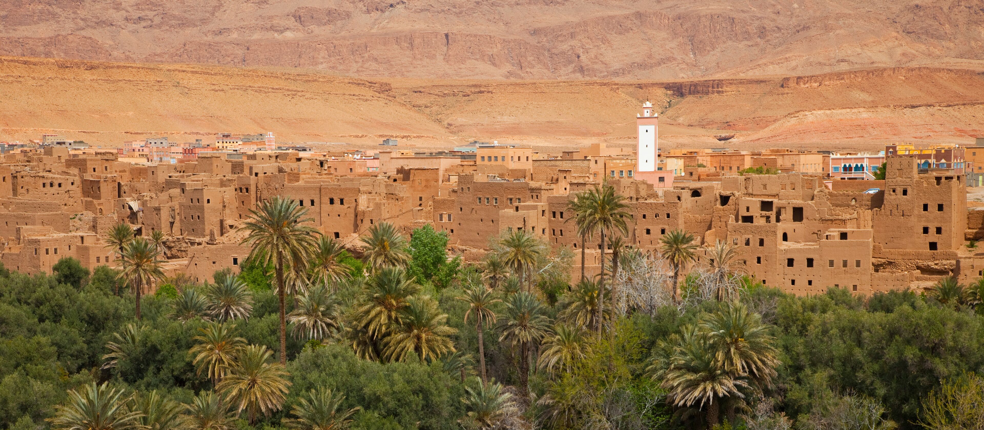 A desert village with mud-brick buildings, palm trees, and a white minaret.