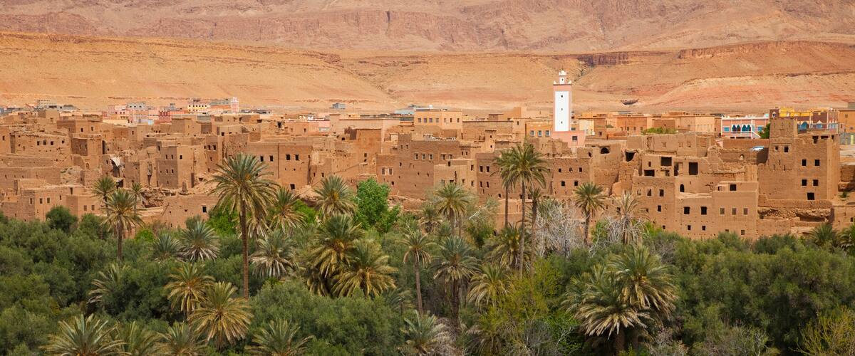A desert village with mud-brick buildings, palm trees, and a white minaret.