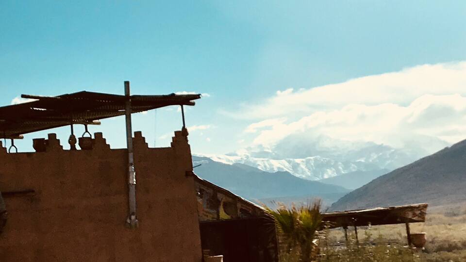 A rustic building with a slanted roof, a palm tree, and snow-capped mountains in the background.