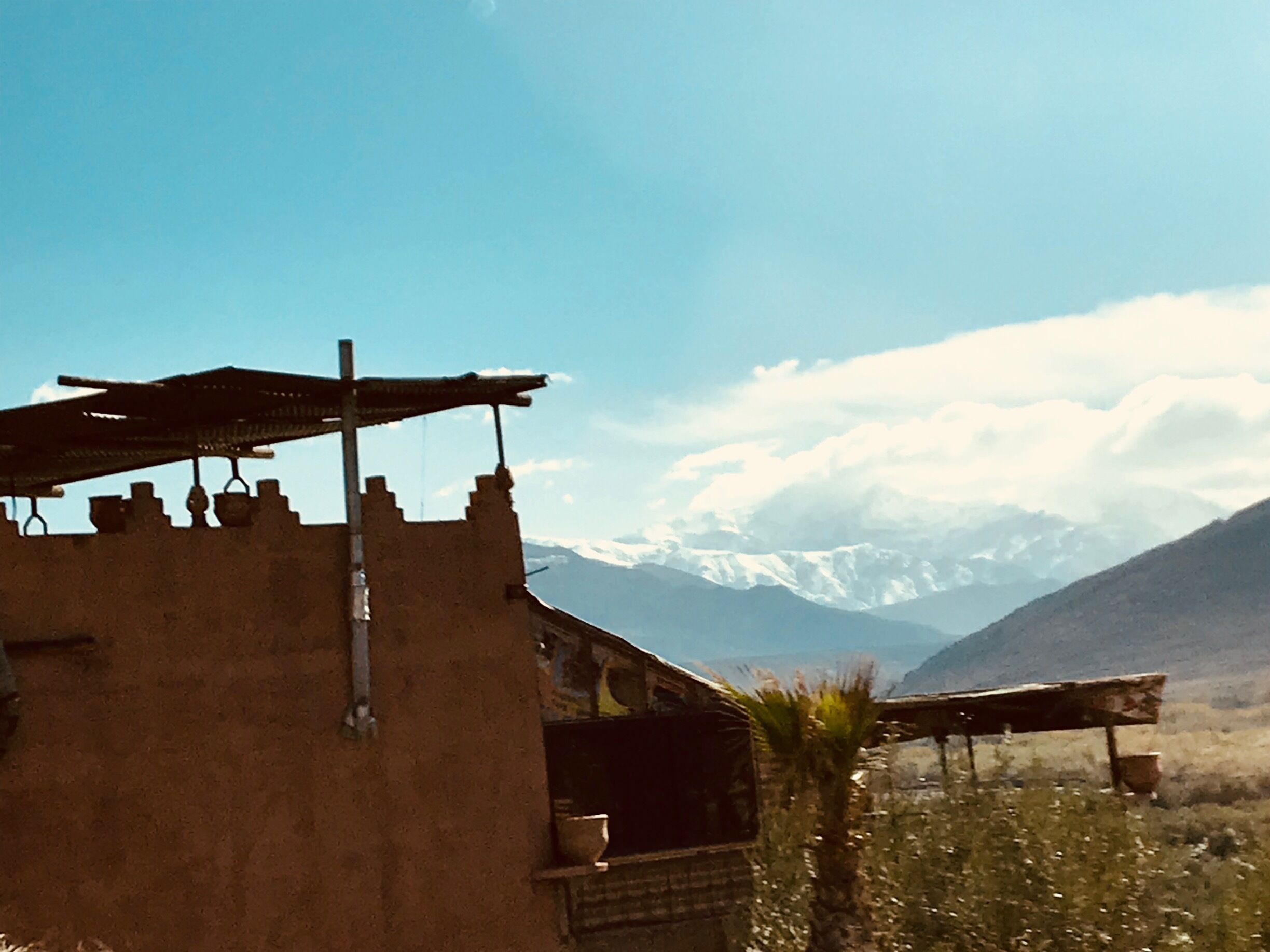 A rustic building with a slanted roof, a palm tree, and snow-capped mountains in the background.