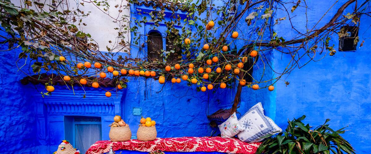 A vibrant blue courtyard with a bed, potted plants, and a tree bearing oranges.