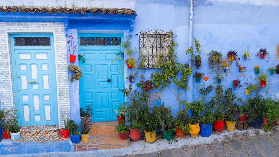 A blue house with two doors, potted plants, and a tiled roof.