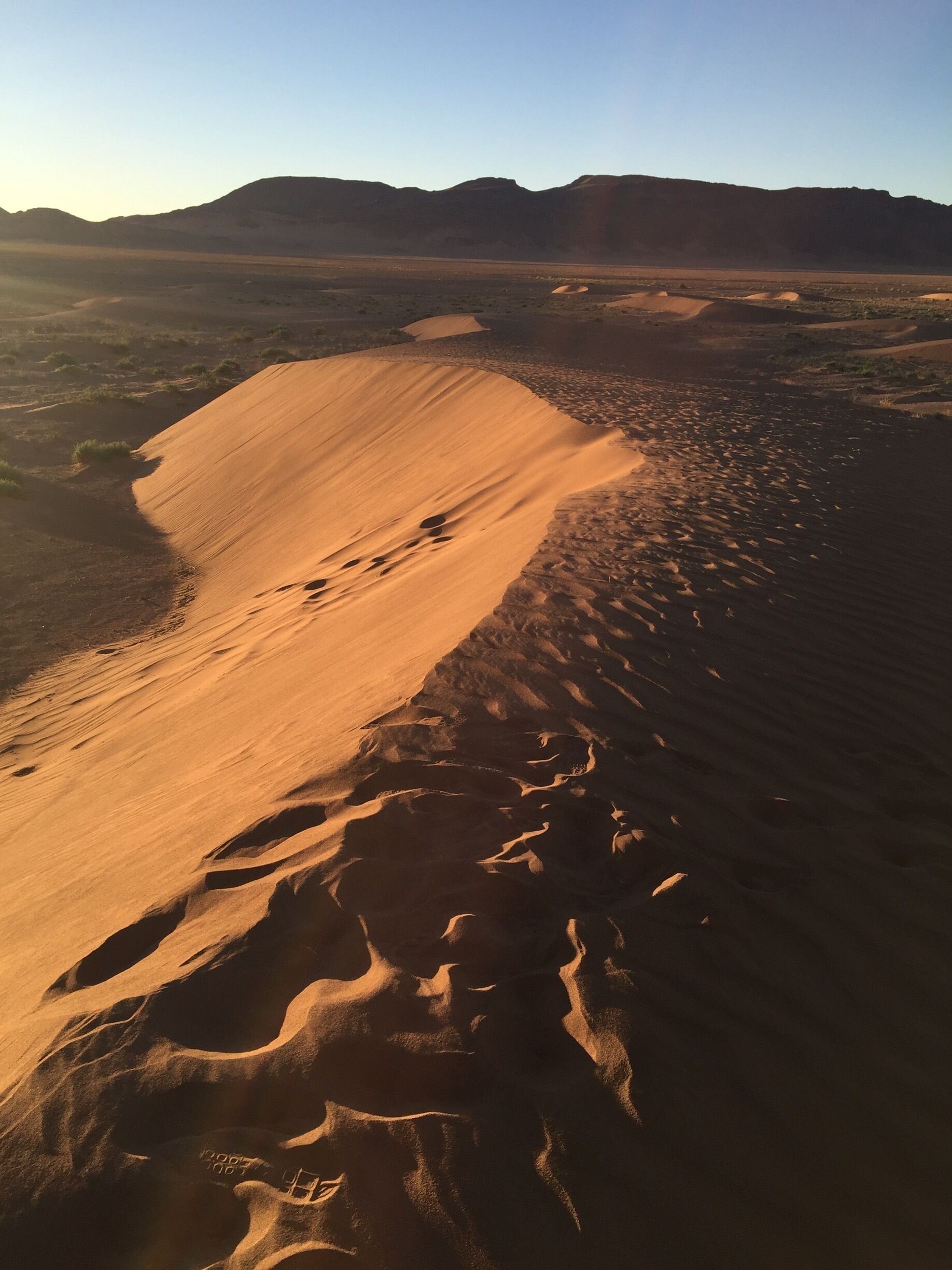 Gateway to the Sahara desert. It was an eight hour drive from Marrakech medina including stops. 