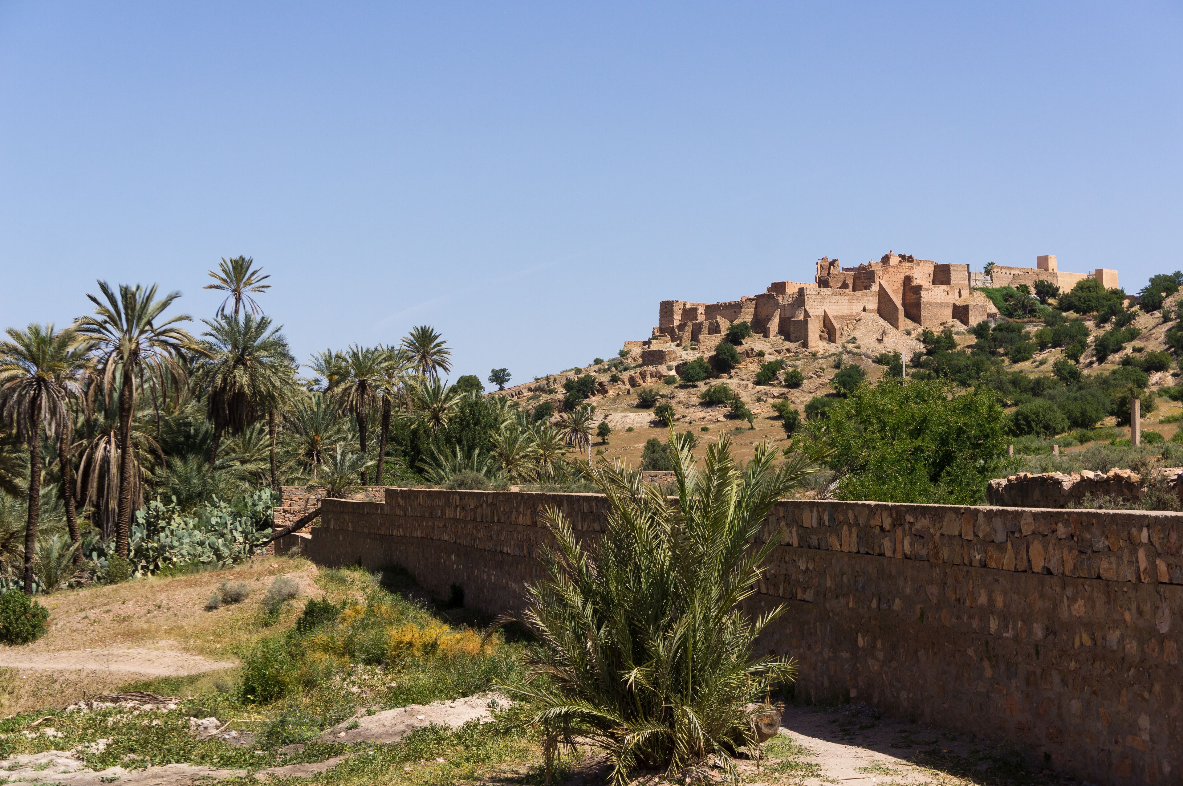 A historical fortification on a hill with palm trees and sparse vegetation.