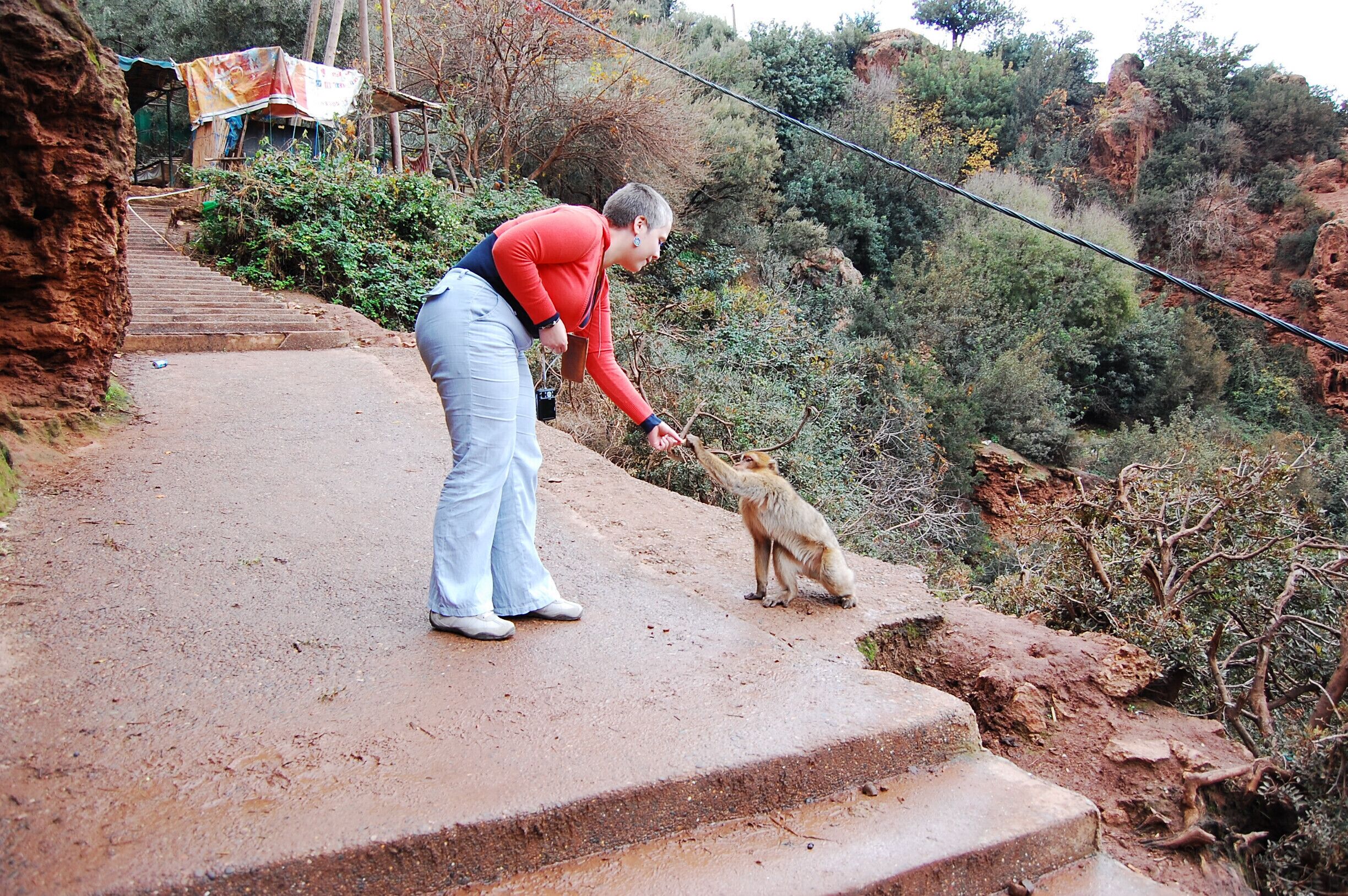 My birthday in Morocco. Plus a beautiful encounter.
Bliss.