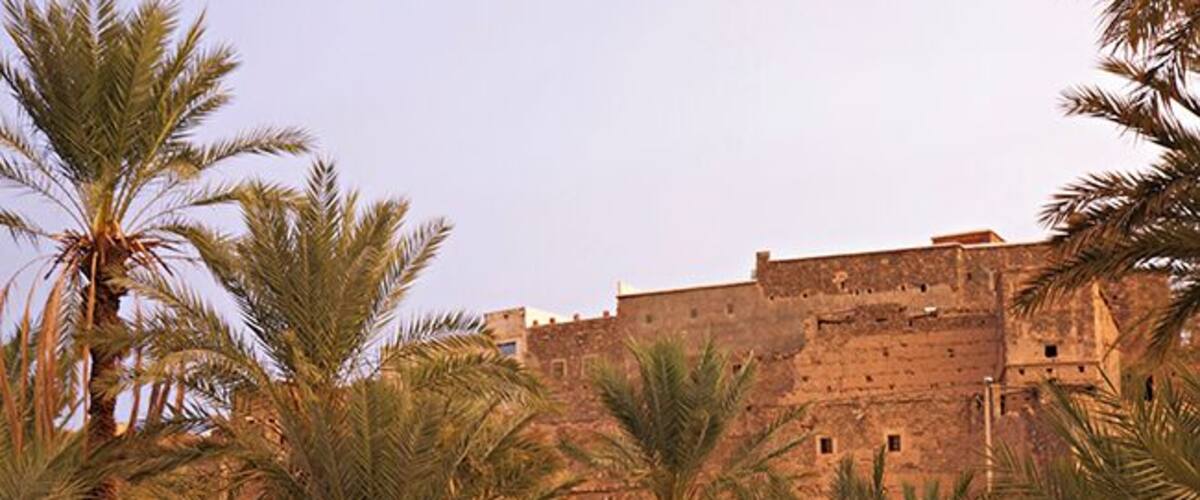 A fortified structure with palm trees in the foreground.