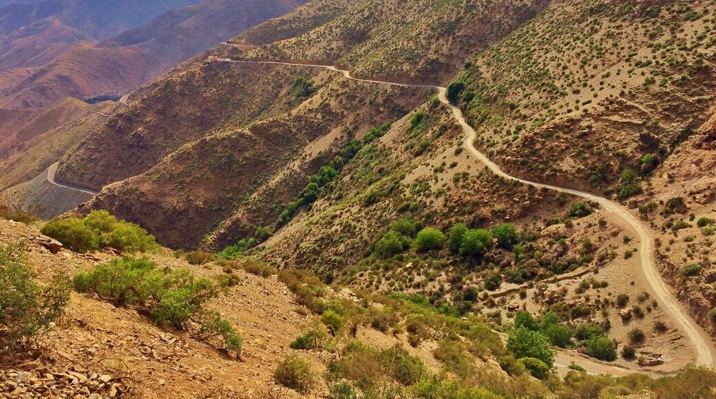 Road #206 through Atlas Mountains. Takes twice as long to get from Agadir to Marrakesh, but totally worth it.