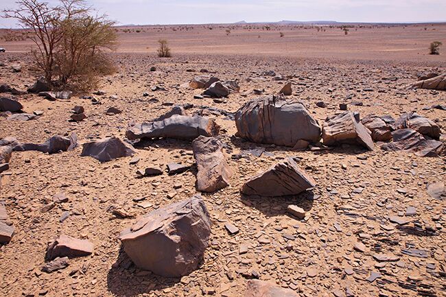 A barren desert landscape with scattered rocks and sparse vegetation.