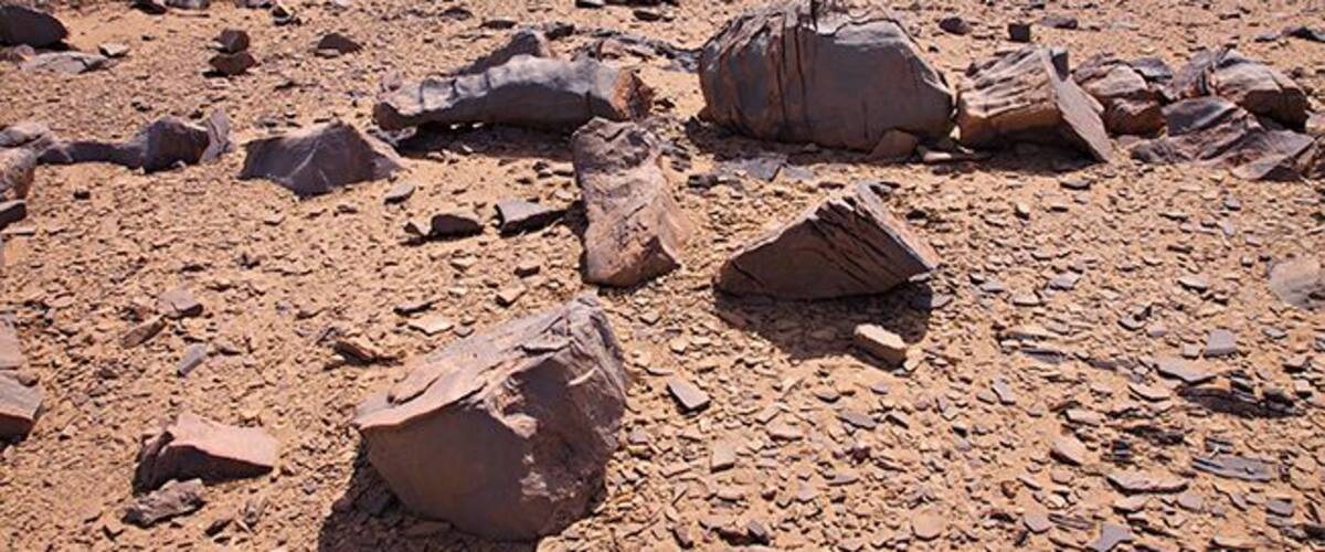 A barren desert landscape with scattered rocks and sparse vegetation.