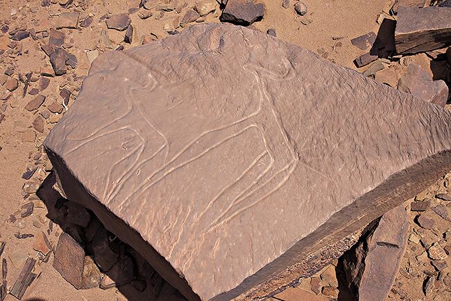 We are exploring the area near the city Akka. Somewhere here there should be some great petroglyphs or stone carvings. We take off from the main road and drive into the village Oum el Alek. It’s a sleepy little village and it takes some time before we find someone we can ask for directions. An old man in his kaftan and the traditional Berber scarf is sitting outside a small shop looking at everything and nothing. Our driver asks him for directions and the old man is pointing out into the desert. Read more at:http://www.travelwithallsenses.com/petroglyphs-akka-morocco/