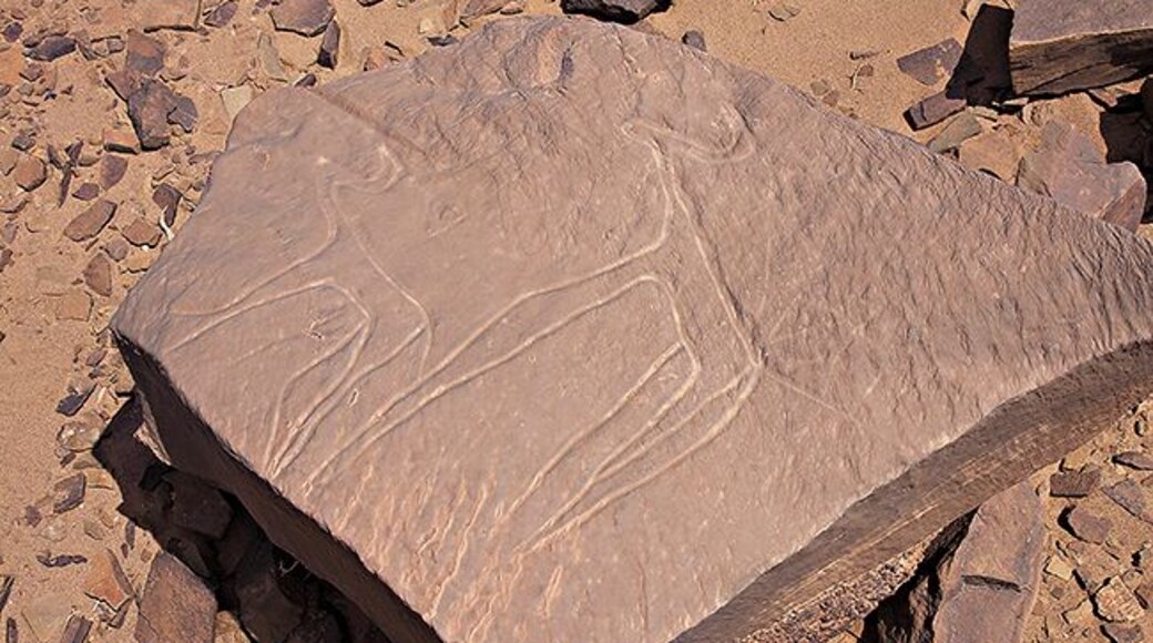 We are exploring the area near the city Akka. Somewhere here there should be some great petroglyphs or stone carvings. We take off from the main road and drive into the village Oum el Alek. It’s a sleepy little village and it takes some time before we find someone we can ask for directions. An old man in his kaftan and the traditional Berber scarf is sitting outside a small shop looking at everything and nothing. Our driver asks him for directions and the old man is pointing out into the desert. Read more at:http://www.travelwithallsenses.com/petroglyphs-akka-morocco/