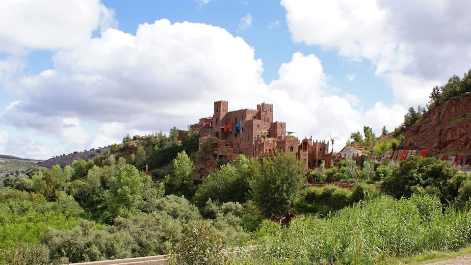 A historic castle on a hill surrounded by lush greenery.
