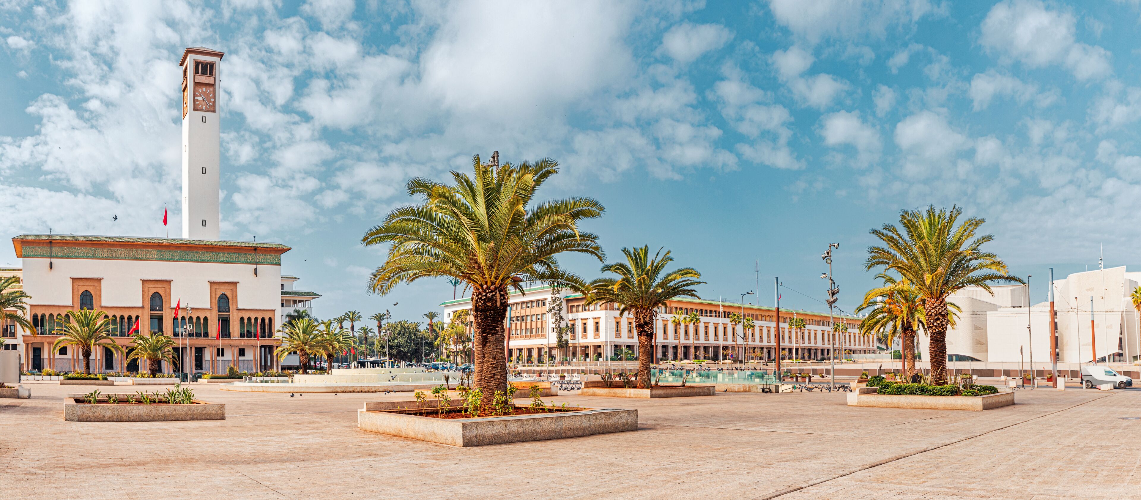 A plaza with palm trees, a clock tower, and modern buildings.