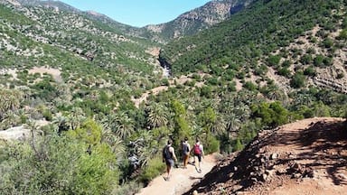 With the road closed due to heavy rain the day before, we had an extra hour and a half walk to usual before reaching this magical valley... but it was so worth it! And due to the long walk we had the place to ourselves!
#Green