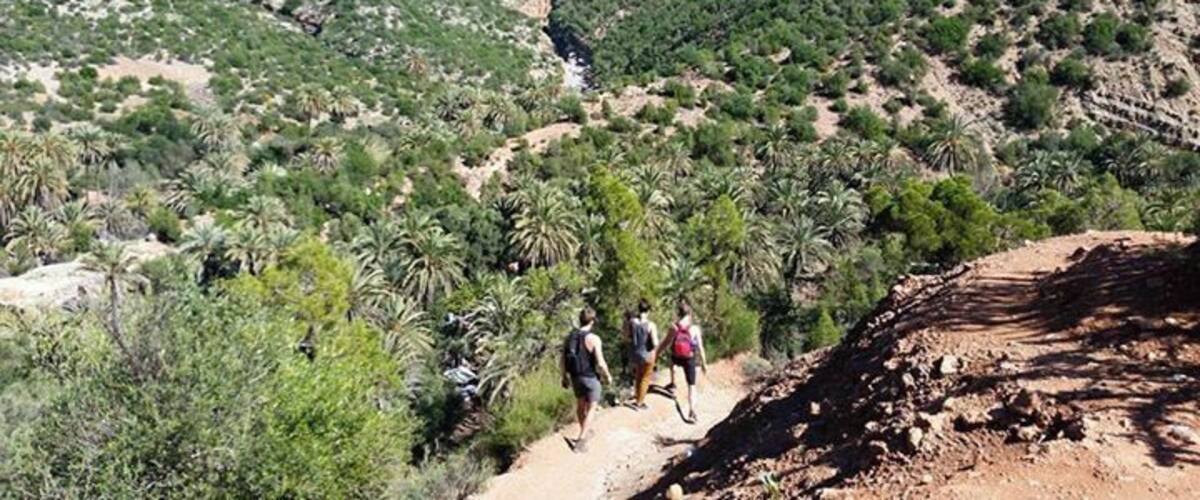 A hiking trail in a mountainous area with greenery and rocky terrain.