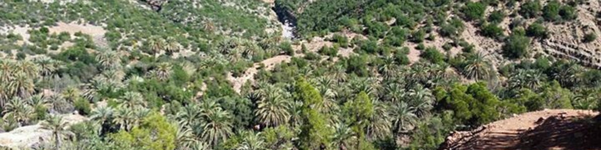 A hiking trail in a mountainous area with greenery and rocky terrain.