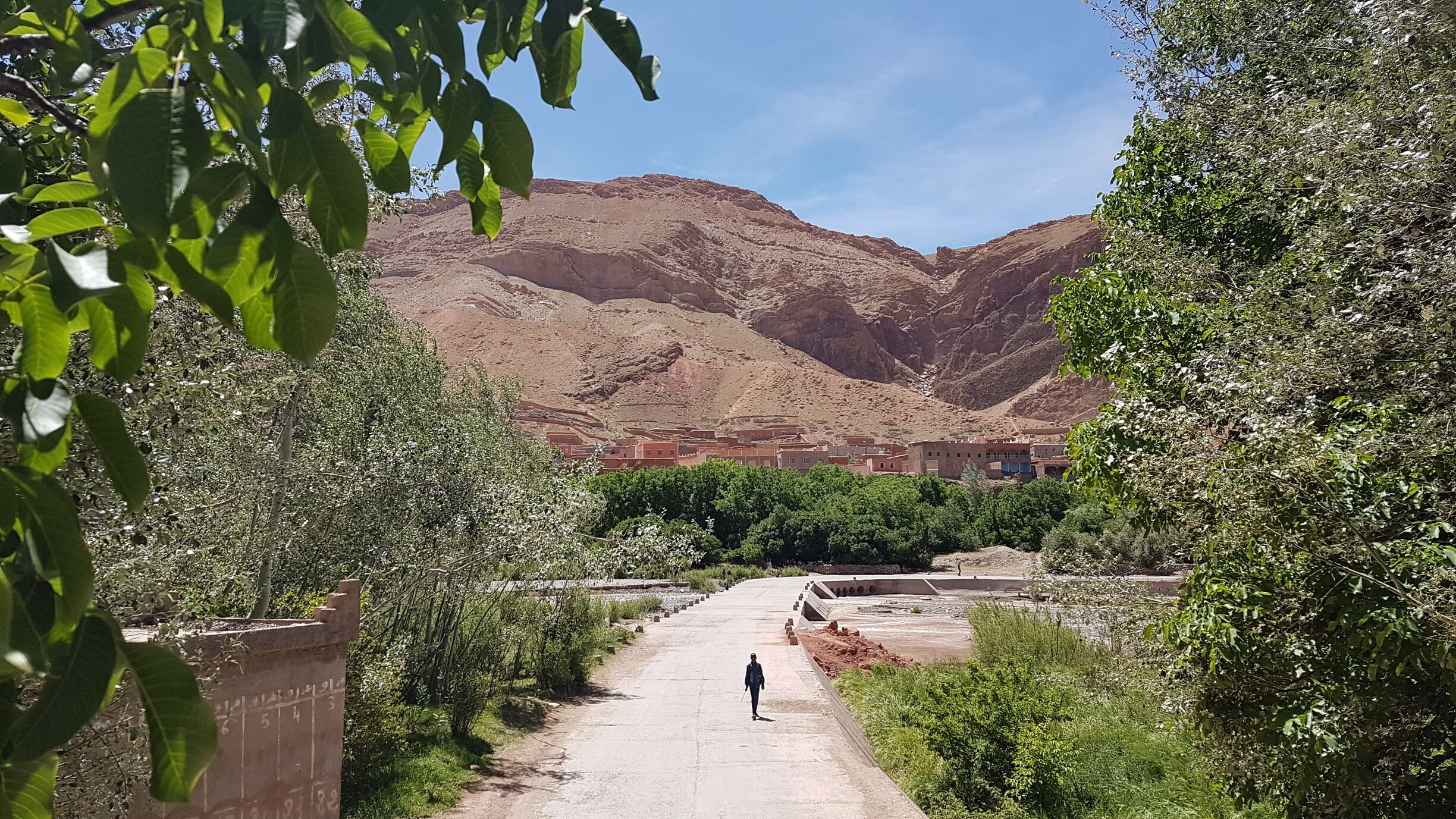 A person walking on a dirt path surrounded by greenery, with a mountainous landscape in the background.
