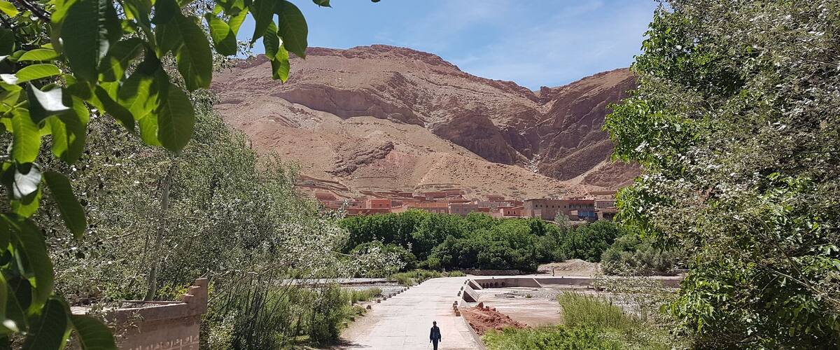 A person walking on a dirt path surrounded by greenery, with a mountainous landscape in the background.