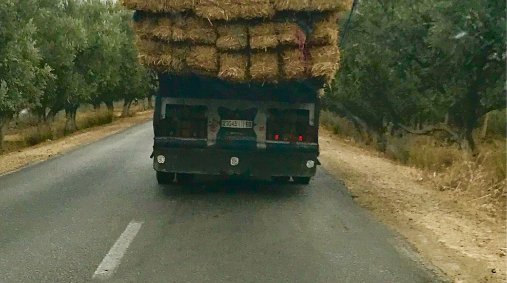 2000 thousand km in seven days, one of the best experiences ever.
Some of the houses are made with this..