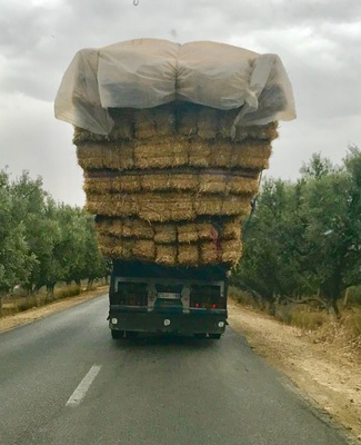 2000 thousand km in seven days, one of the best experiences ever.
Some of the houses are made with this..