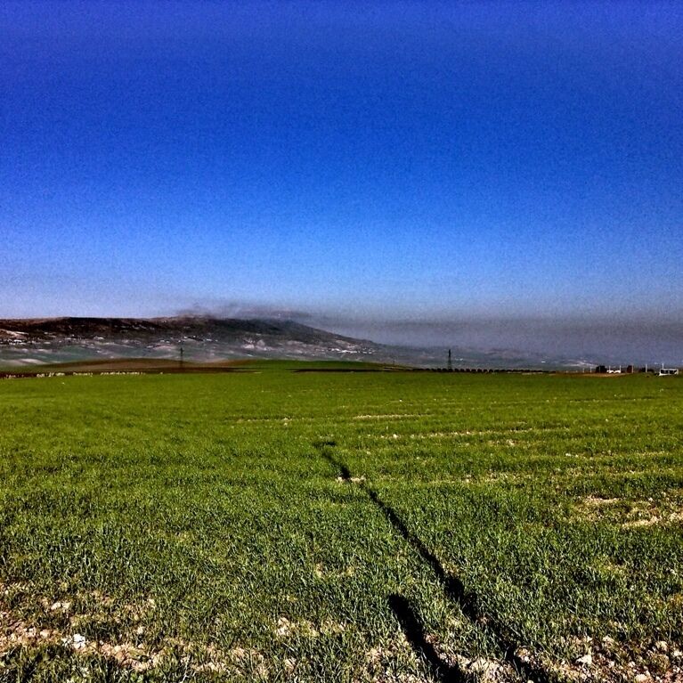 Vale of nazala in marroco