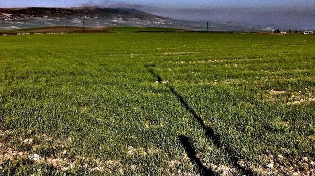 Vale of nazala in marroco