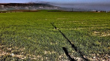 A green field with a clear blue sky and distant mountains.