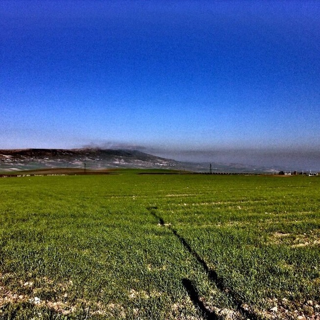 Vale of nazala in marroco