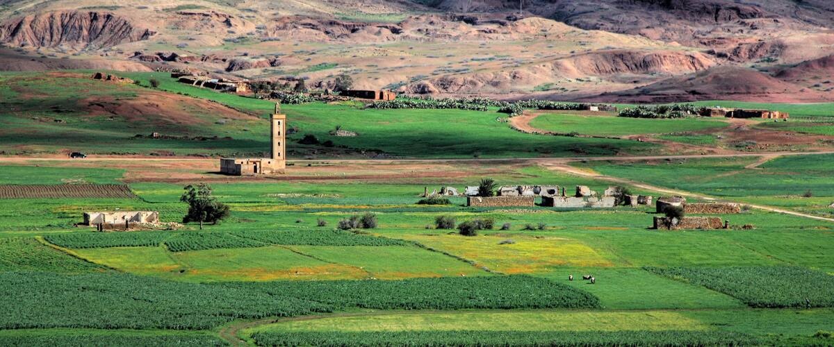 Landscape in the plains of Fez in Morocco