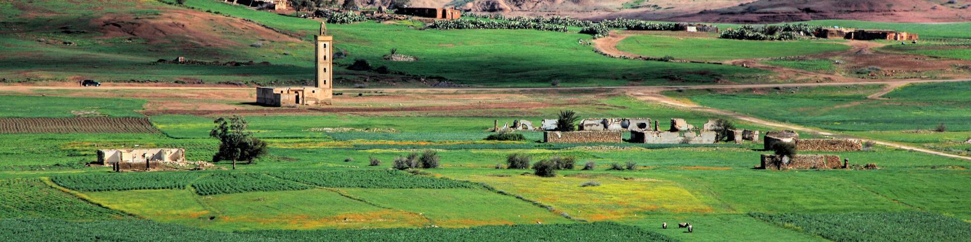 Landscape in the plains of Fez in Morocco