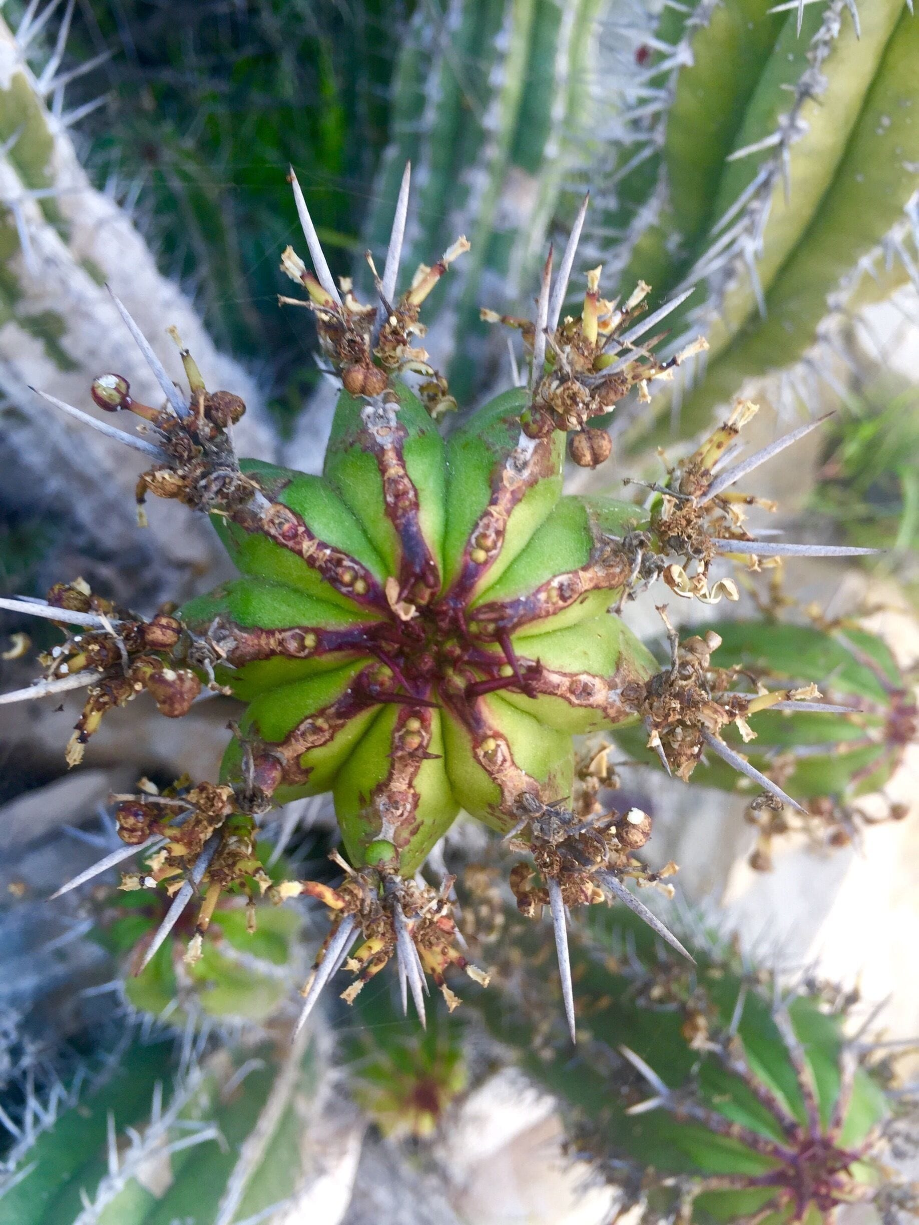 Province d'El Kelaâ des Sraghna