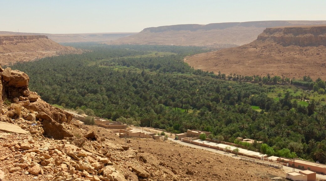 Palm oases amongst the Moroccan deserts #green #Green Photo Sweepstakes