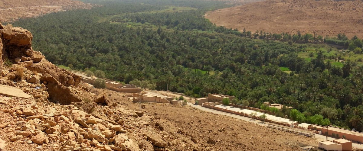 Palm oases amongst the Moroccan deserts #green #Green Photo Sweepstakes