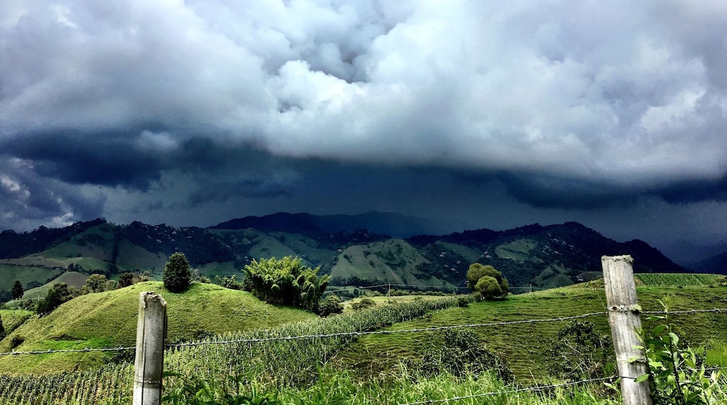 It's so hard not to pull over every 5 minutes while driving in #Colombia. The #landscapes are just so beautiful and perfect, it almost hurts your eyes. This was near #Aranzazu on our way to #Salamina. #mountains #clouds #rain #nature #paisajesColombianos