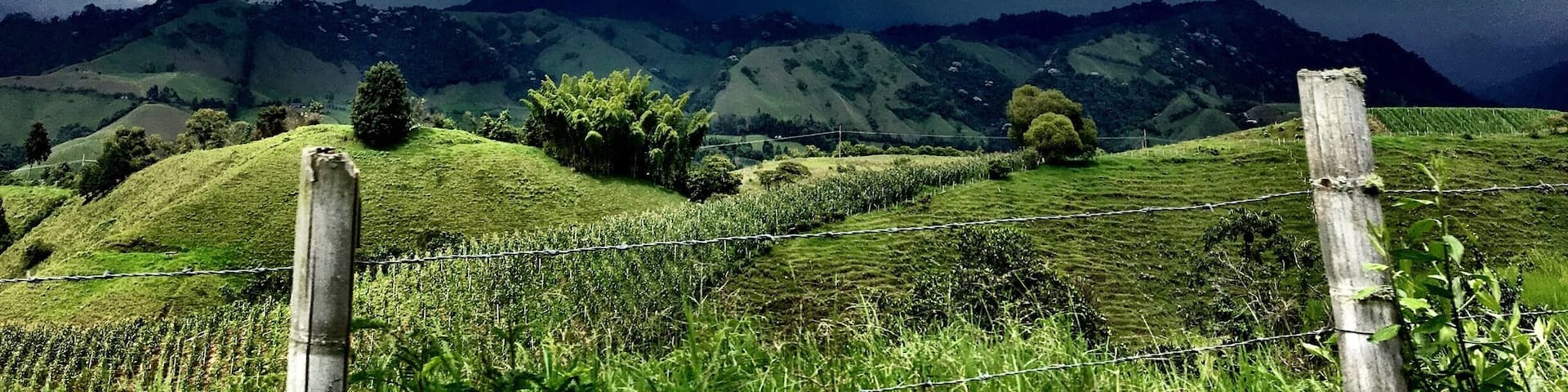 It's so hard not to pull over every 5 minutes while driving in #Colombia. The #landscapes are just so beautiful and perfect, it almost hurts your eyes. This was near #Aranzazu on our way to #Salamina. #mountains #clouds #rain #nature #paisajesColombianos