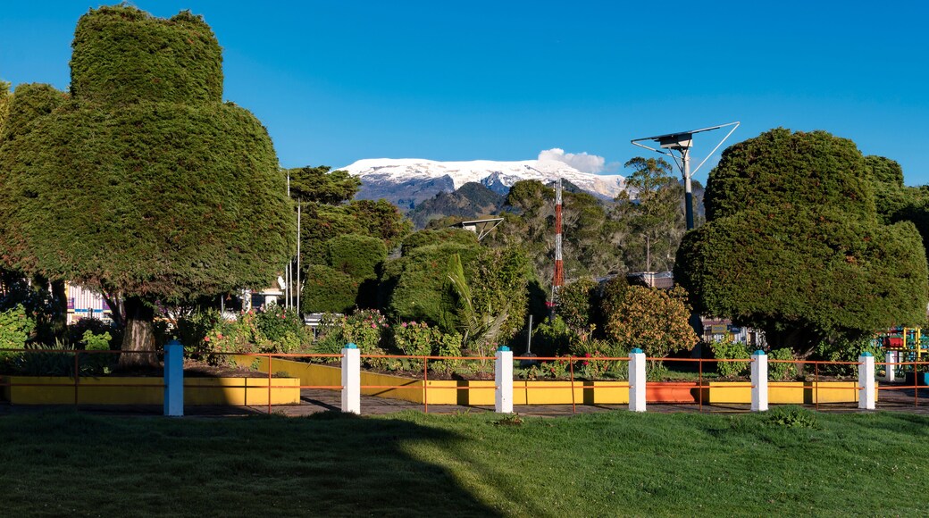 Nevado del Ruiz - Murillo Tolima
