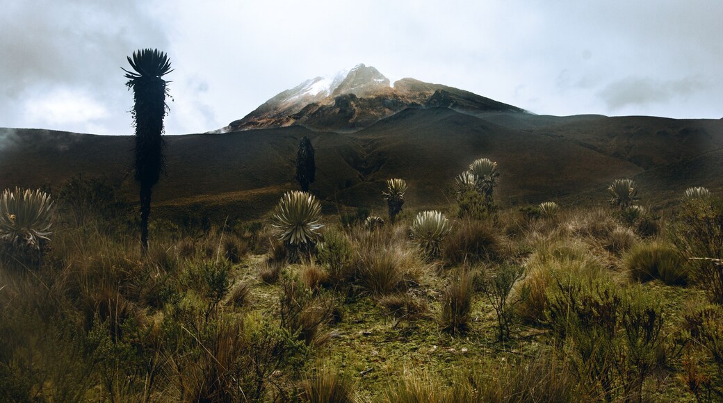 Nevado del Tolima, Colombia