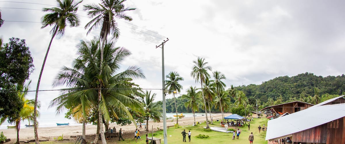 A beach with palm trees, a wooden building, and a grassy area.