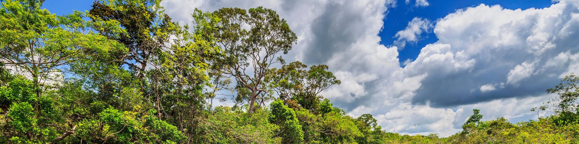 Cano Cristales (River of five colors), La Macarena, Meta, Colombia