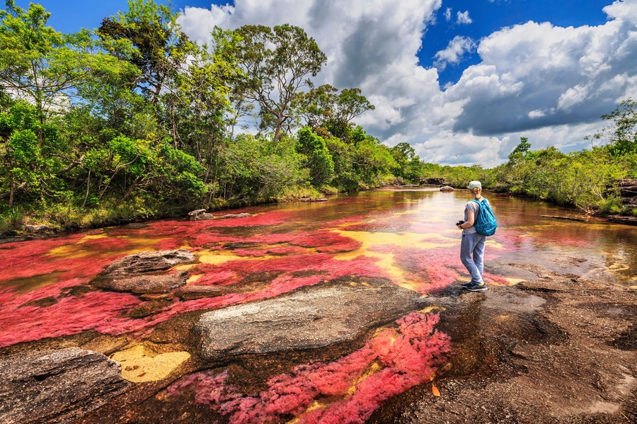 Cano Cristales (River of five colors), La Macarena, Meta, Colombia