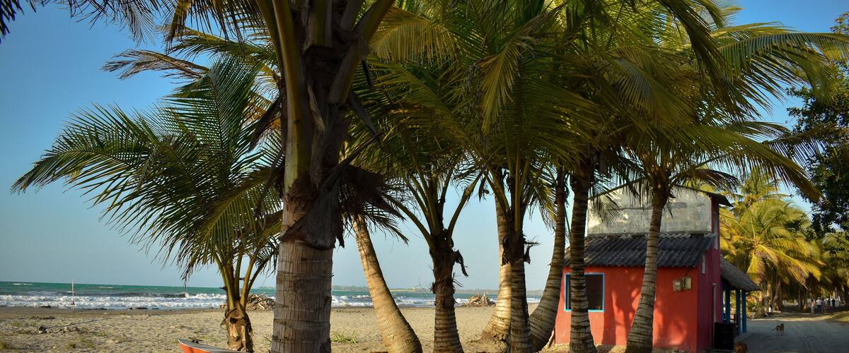A beach with a boat, palm trees, and a small red building.