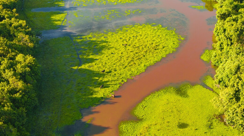 Aerial view of the winding river snaking through the vibrant green wetlands and dense forests of Reserva Natural El Encanto de Guanapalo, San Luis de Palenque, Casanare, Colombia.
