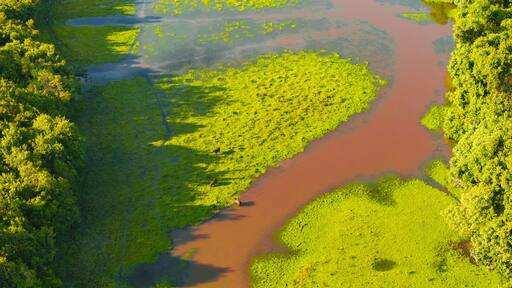 سان لويس دي بالينكي