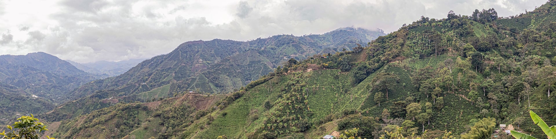 view of the mountains in Santa María Huila Colombia Coffe