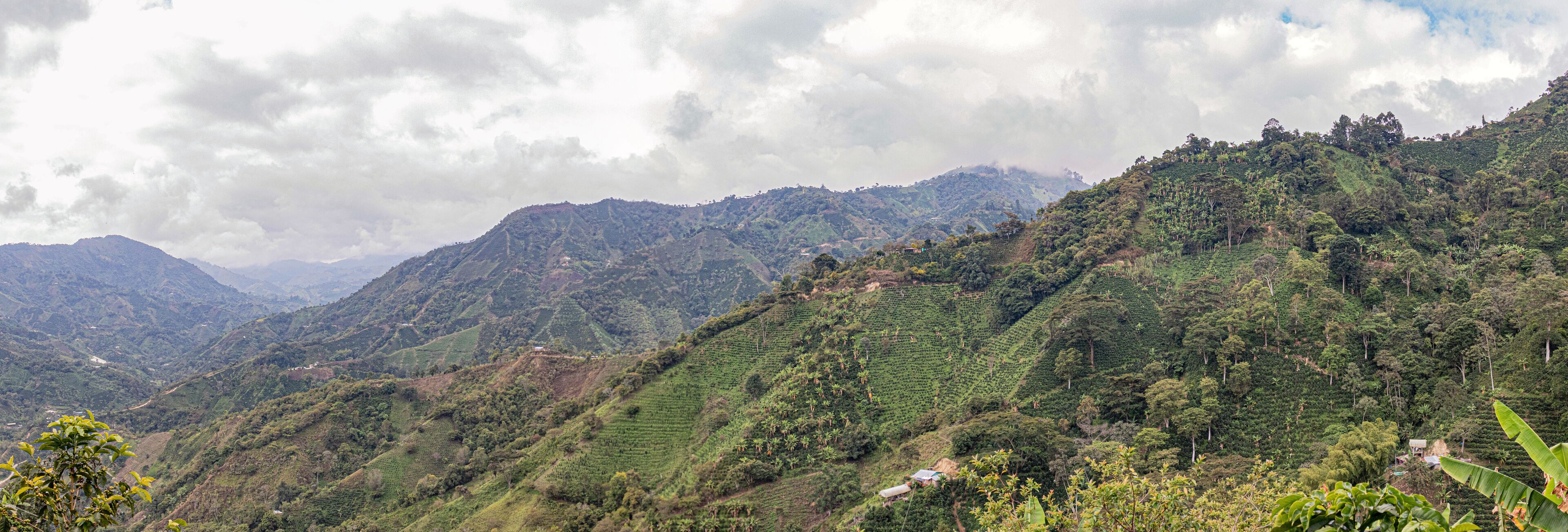 A mountainous landscape with terraced tea plantations and scattered houses.