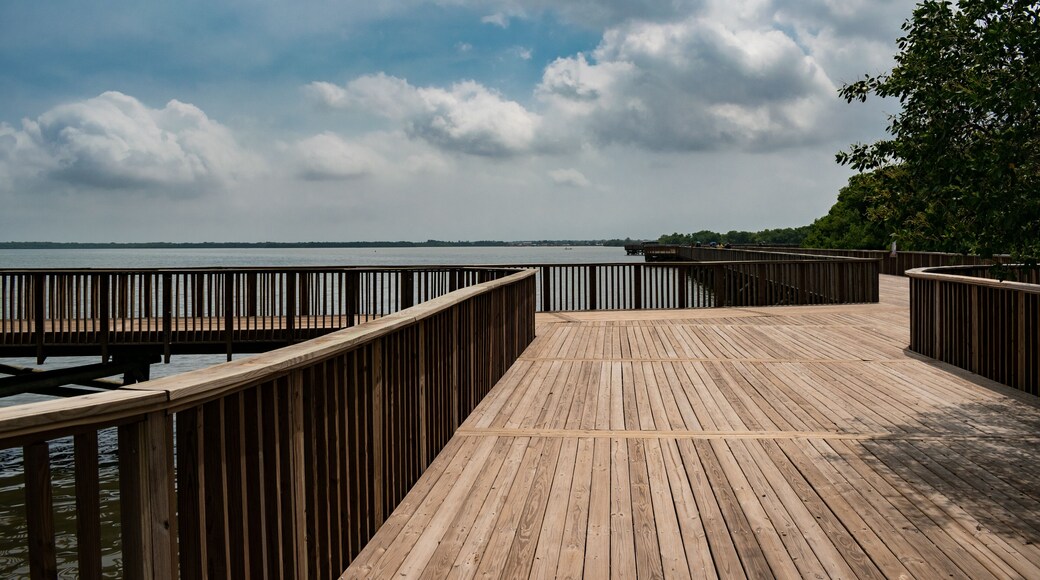 坎波德拉克魯斯