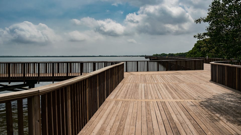 Manglar en Barranquilla