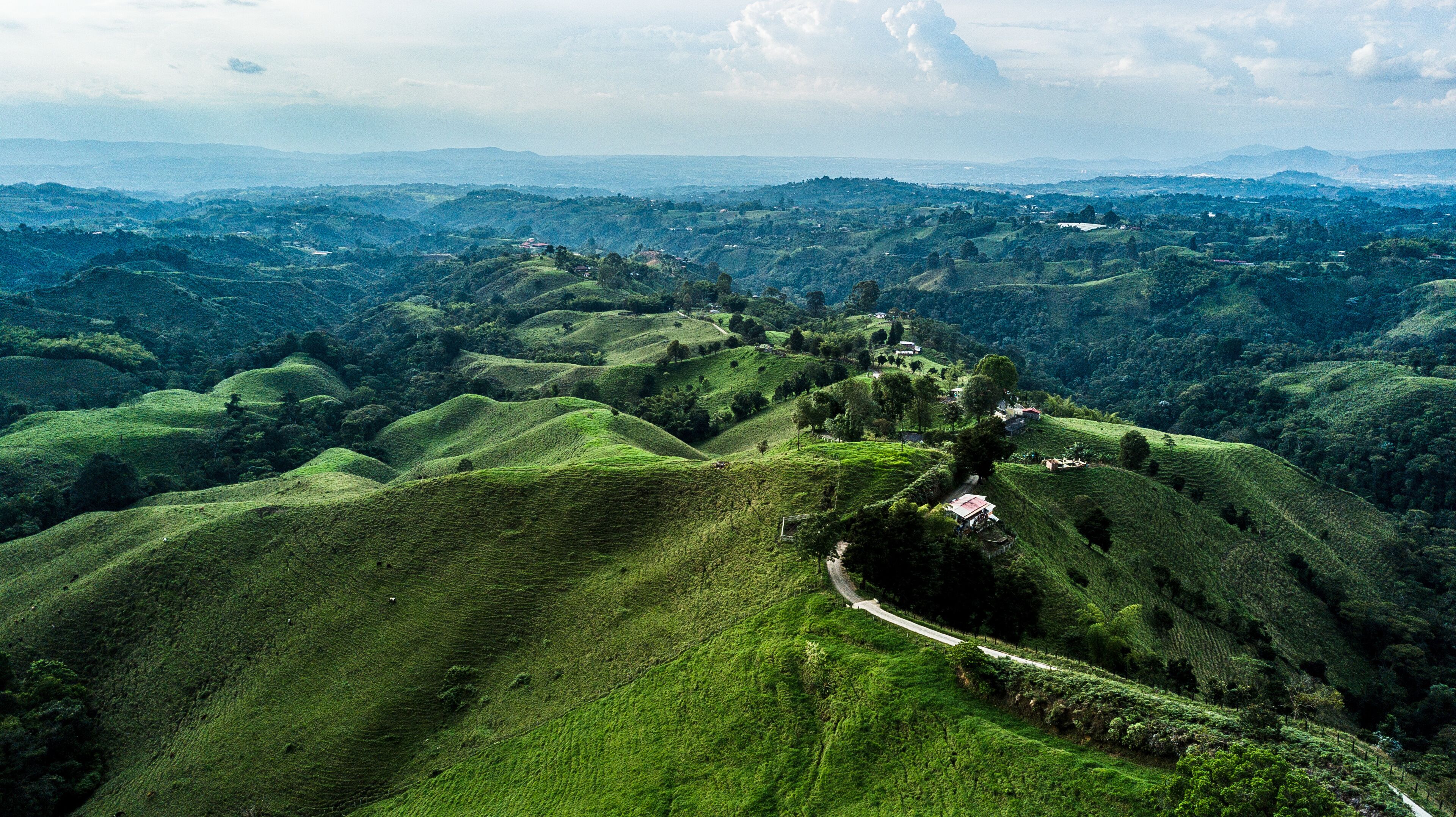 A lush green landscape with rolling hills and a winding road.