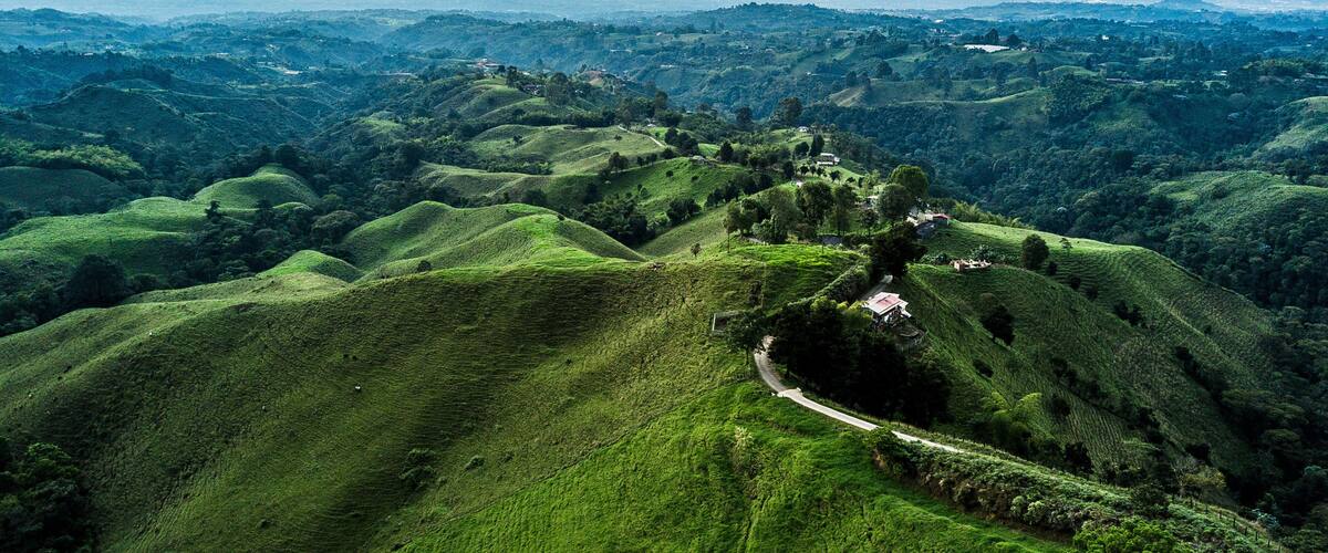 A lush green landscape with rolling hills and a winding road.